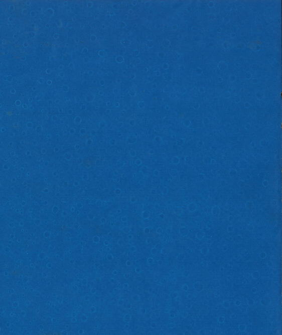 untitled rain study 01, cyanotype, 8.5 x 11 inches, 2021