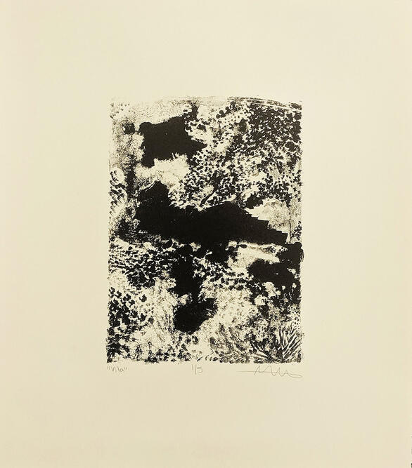 vita, lithograph on arches, 2020