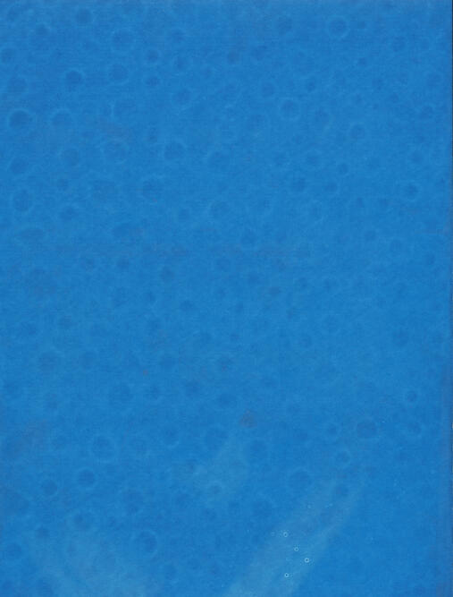 untitled rain study 01, cyanotype, 8.5 x 11 inches, 2021